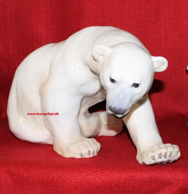 Bjørne - Isbjørne - Pandaer - Vaskebjørne